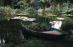 l'etang aux nympheas