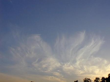 cirrus 