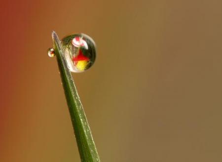 goutte d'eau