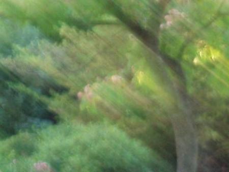 les yeux remplis de larmes