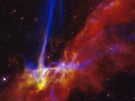 les restes d'une star